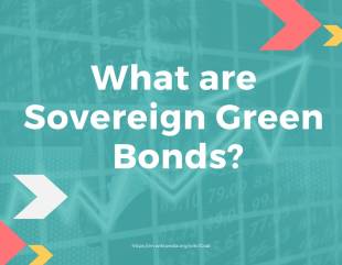 Sovereign Green Bonds of Rs 16,000 cr proposed to be issued in current FY