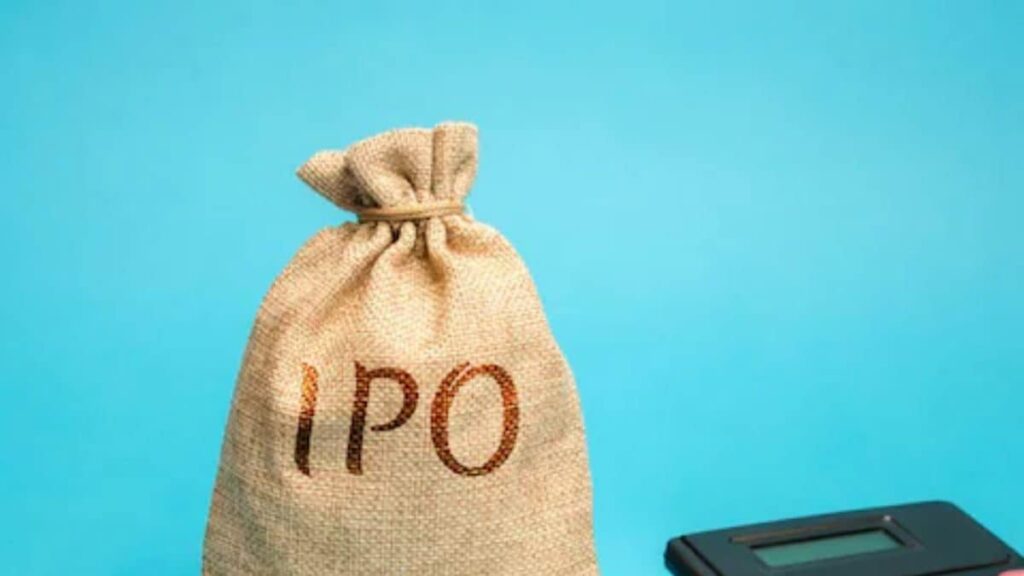 The IPO Flipping Frenzy: A Look at Investor Behavior in India's Hot IPO Market