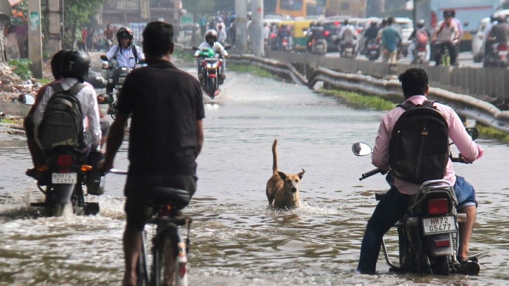 India Braces for Above-Normal Rainfall in September