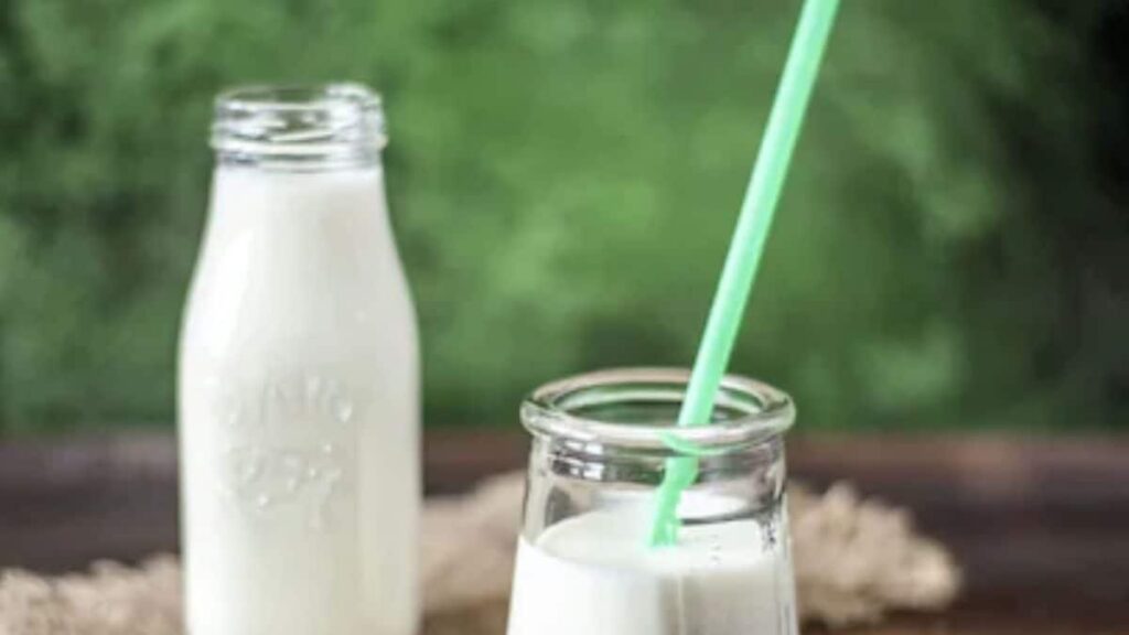 A2 Milk: Hype or Health? Unpacking the Claims and Evidence